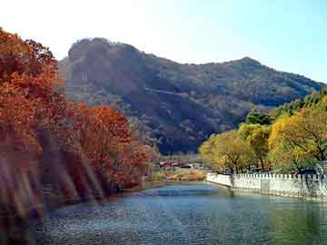 新澳天天开奖资料大全旅游团，花冠与卡罗拉的区别